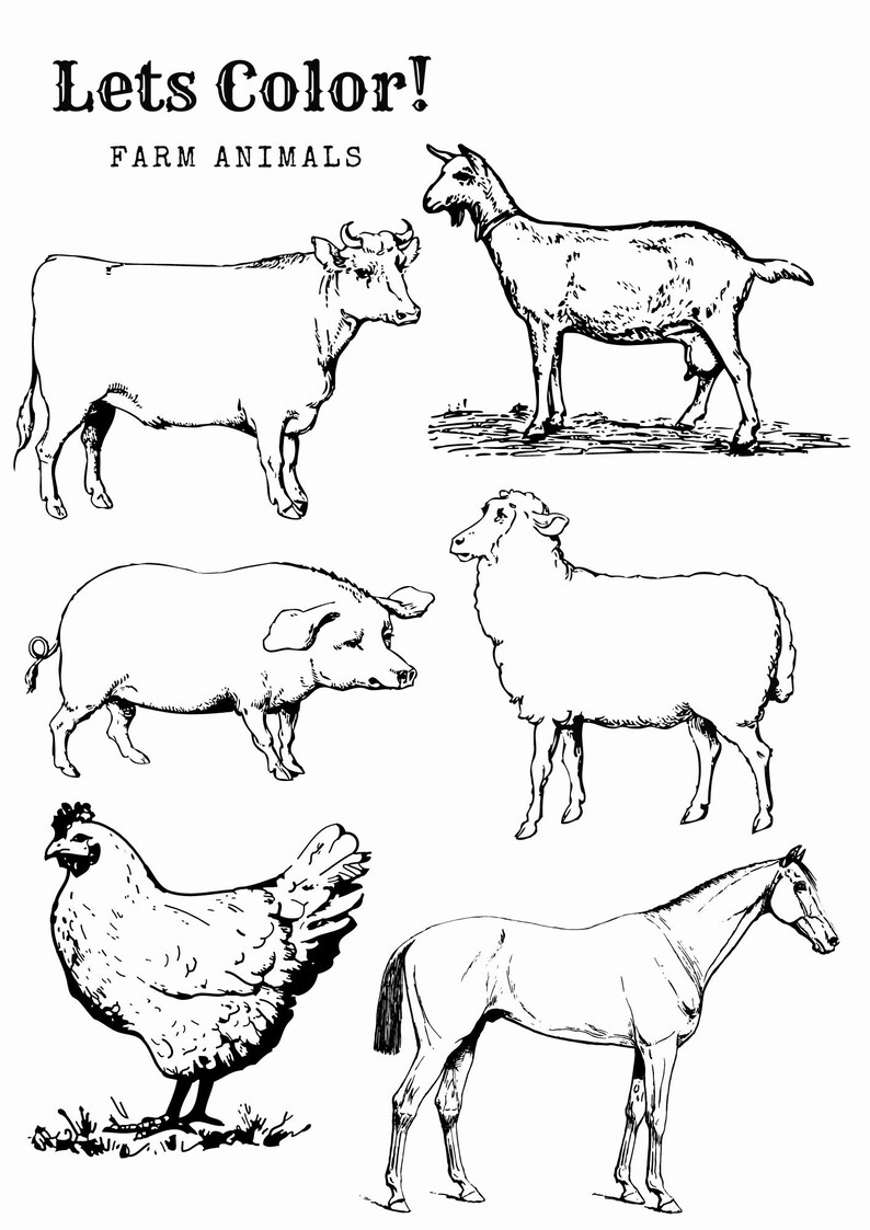 Children's Coloring Page Kids Coloring Page Farm Animals Etsy