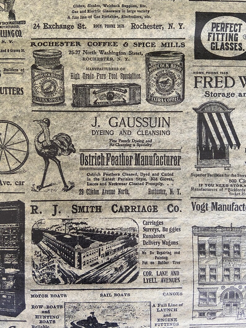May include: A vintage newspaper advertisement for various businesses in Rochester, New York. The ad includes businesses such as a coffee and spice mill, a carriage company, a feather manufacturer, and a storage company. The ad also features a drawing of an ostrich.