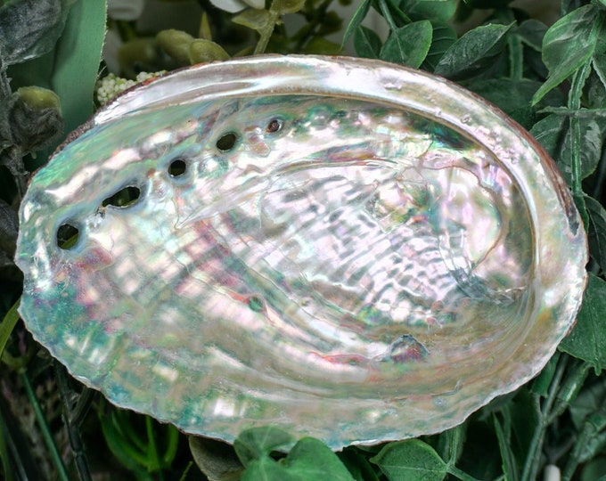 ABALONE SHELL, Smudge Bowl, Smudging Bowl, Large Smudge Bowl, Home ...