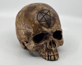 May include: A realistic human skull replica featuring a weathered, brownish-tan finish with visible cracks and texture. A black pentagram symbol is clearly etched onto the center of the forehead, positioned above the deep, hollow eye sockets.