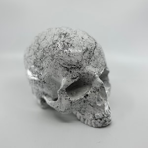 White &quot;Marble&quot; Skull