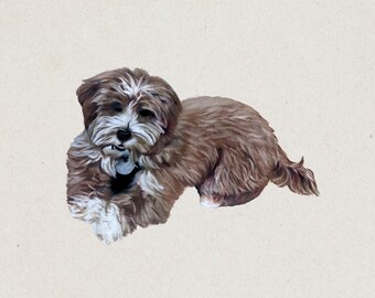 Custom Hand-Drawn Pet Portrait, Personalized Dog, Cat, Bunny Art