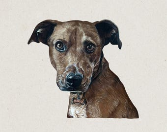 Custom Hand-Drawn Pet Portrait from Photo, Pet Memorial Art