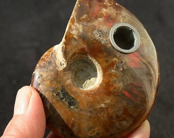 NATURAL ammonite RAINBOW FOSSIL Smoking Pipe for tobacco 1pcs Free Shipping 