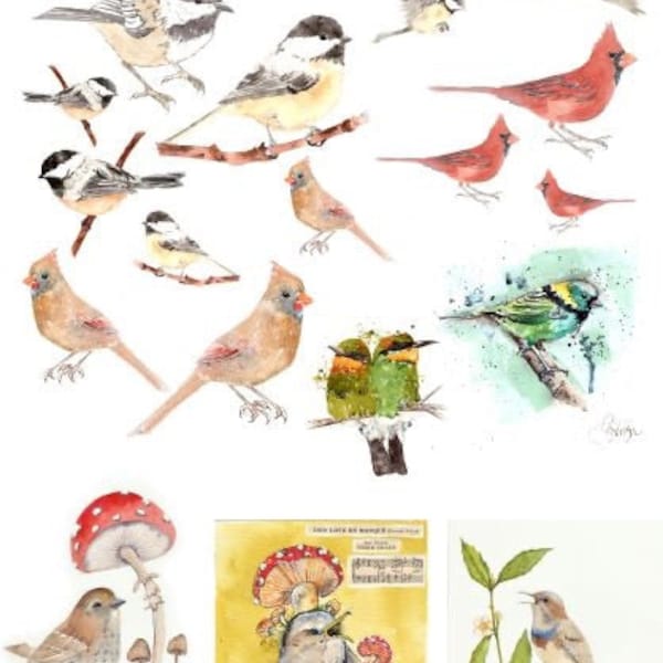 Catalog of Birds- Roycycled Decoupage Paper