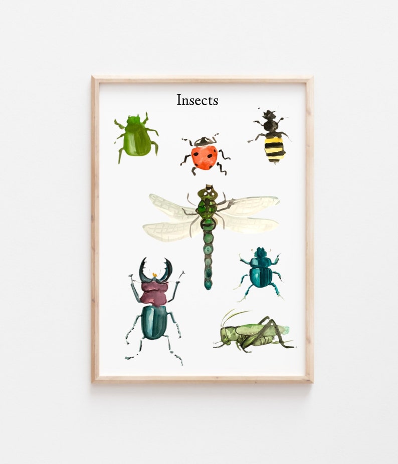 Vintage insect watercolor print playroom decor image 1
