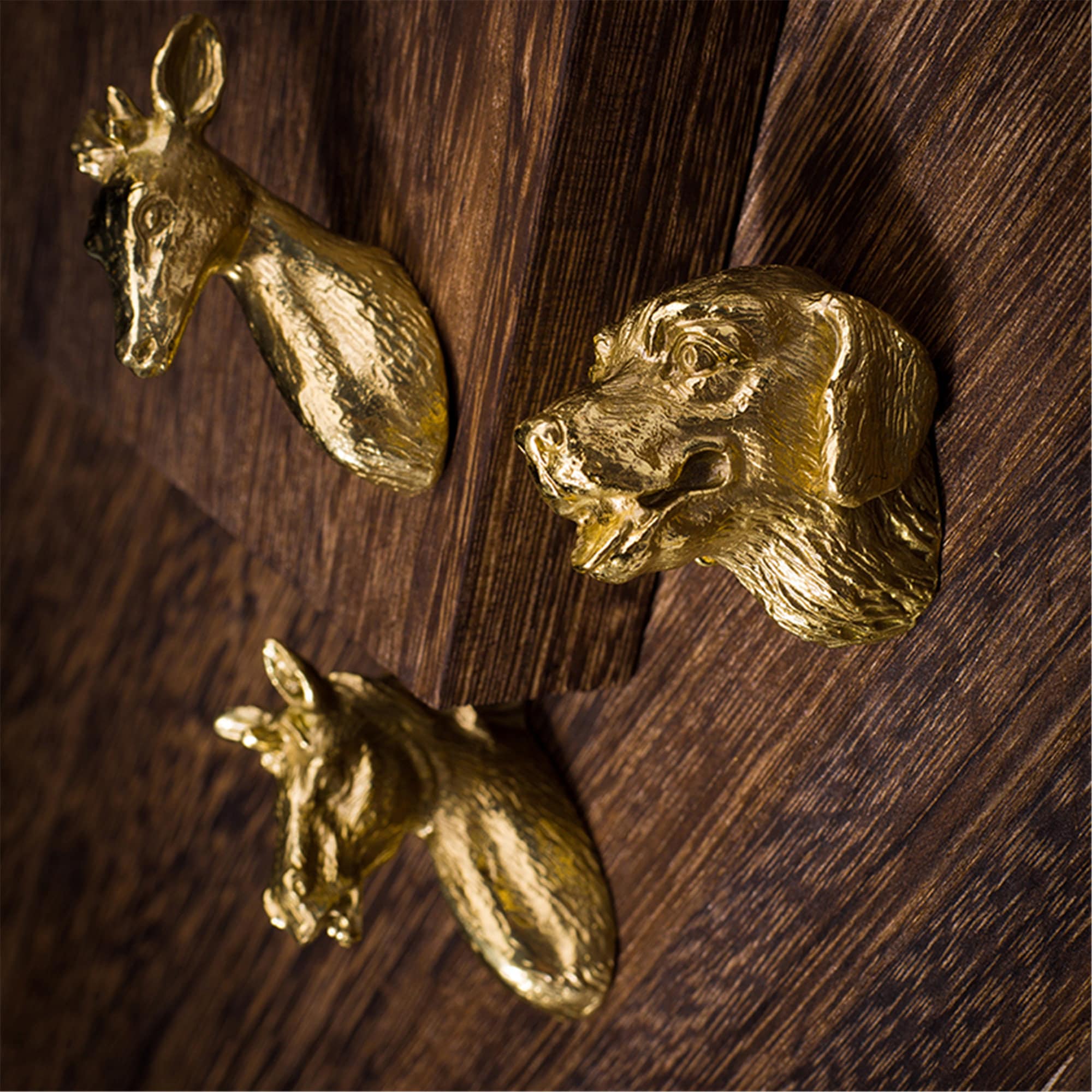 Creative Animal Brass Handle Modern Round Drawer Pulls Etsy UK