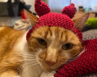 Cheeky Devil Cat Hat knitted handmade pet hat kitty accessory