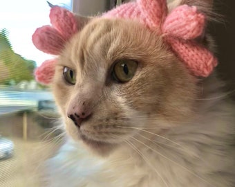 Axolotl Cat Hat and Sticker cute handmade knitted kitty beanie cat accessory