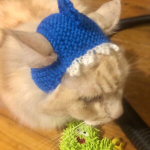Shark Cat Hat baby shark novelty knitted crochet kitty beanie handmade blue jaws image 2