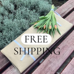 Op de afbeelding: Een rechthoekig pakket verpakt in bruin papier met een wit lint eromheen, bekroond met een boeket verse tulpen met groene stelen en roze bloemblaadjes. De tekst FREE SHIPPING staat in het zwart op het midden van het pakket gedrukt.