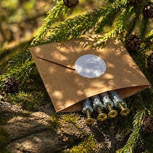 May include: A brown paper envelope with a white sticker, partially open to reveal several screws. The screws have gold-colored heads and are displayed on a bed of green moss and pine needles, with pine cones in the background.