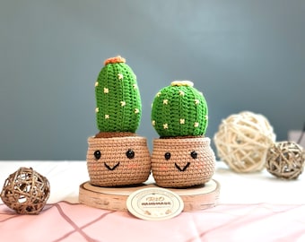 Ready To Ship, Handmade Cactus Gift, Crochet Cactus, Amigurumi Cactus, Faux Plant, Cactus Decor, Potted Cactus