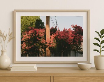 Pink Blossom Photography Print – Floral Wall Art, Nature-Inspired Décor”