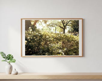 Nature Wall Art Print – Botanical Photography, Floral Home Décor