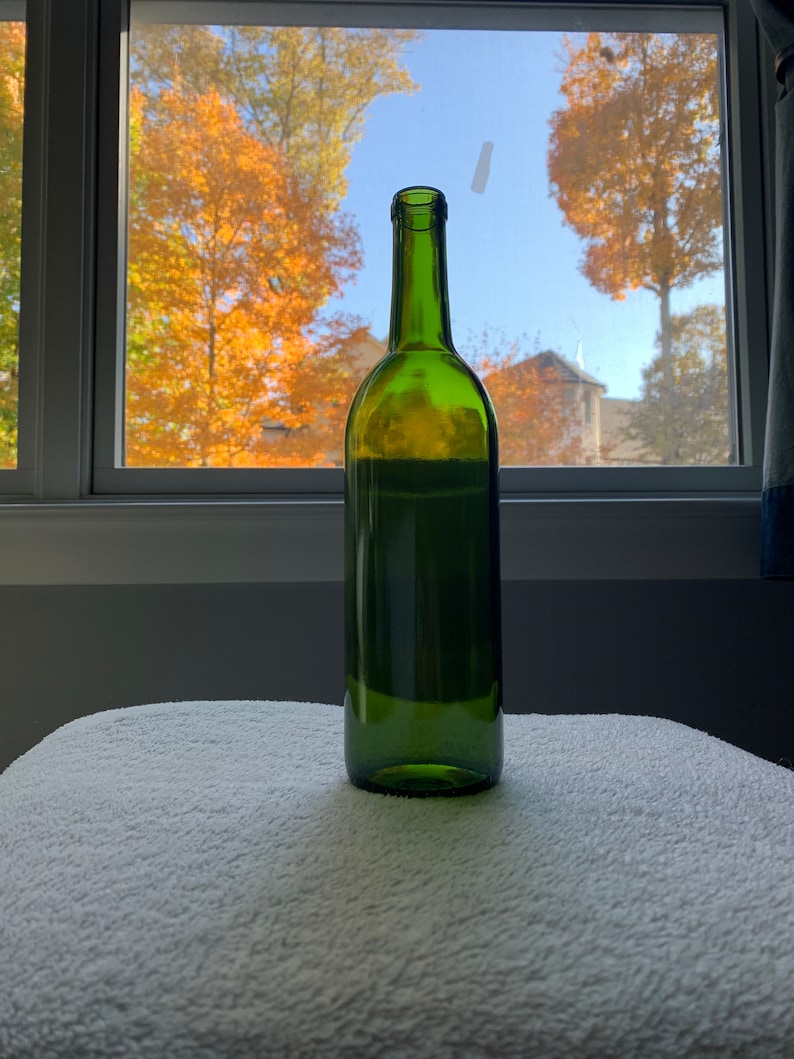 Sea of Thieves Voyage in a Bottle Etsy