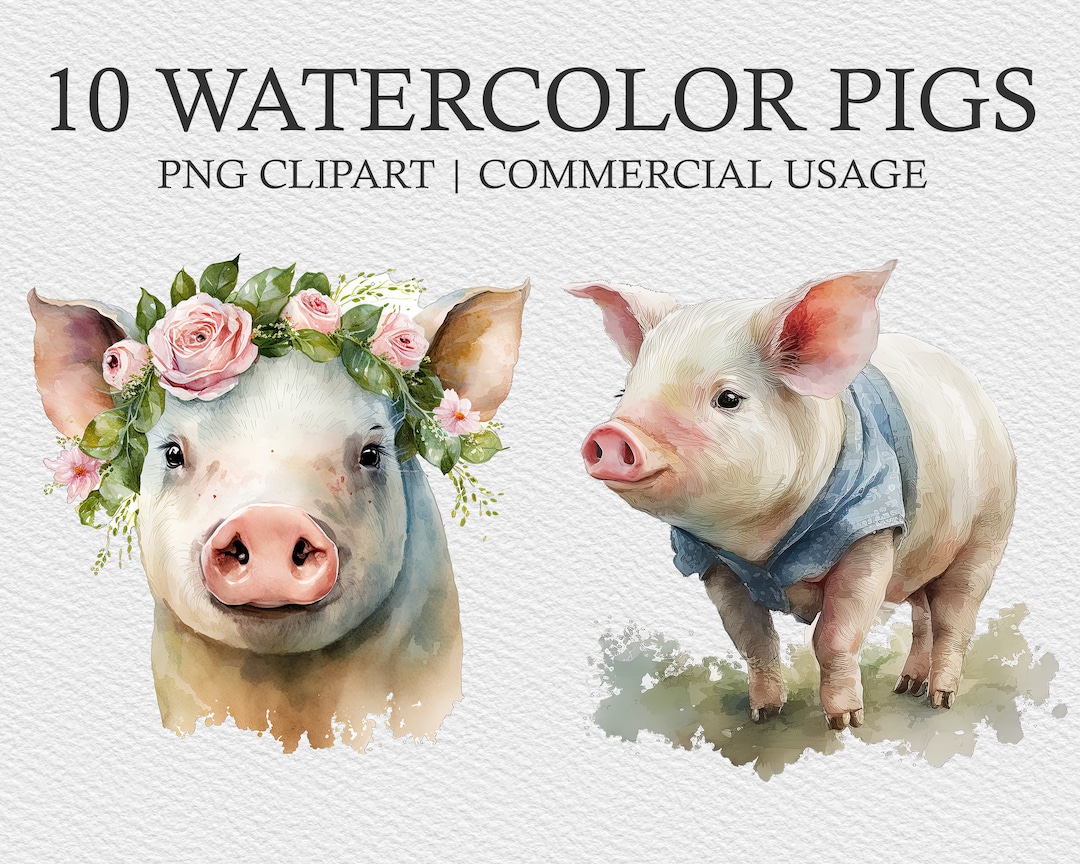 10 Pig Watercolor Clipart Files, Pigs Clipart, Piglets Bundle PNG, Pig ...