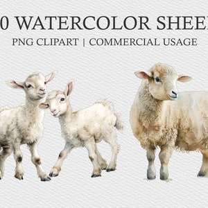 10 moutons aquarelle Clipart fichiers, agneau clipart, moutons Bundle PNG, moutons Clipart Pack, fichier de Sublimation