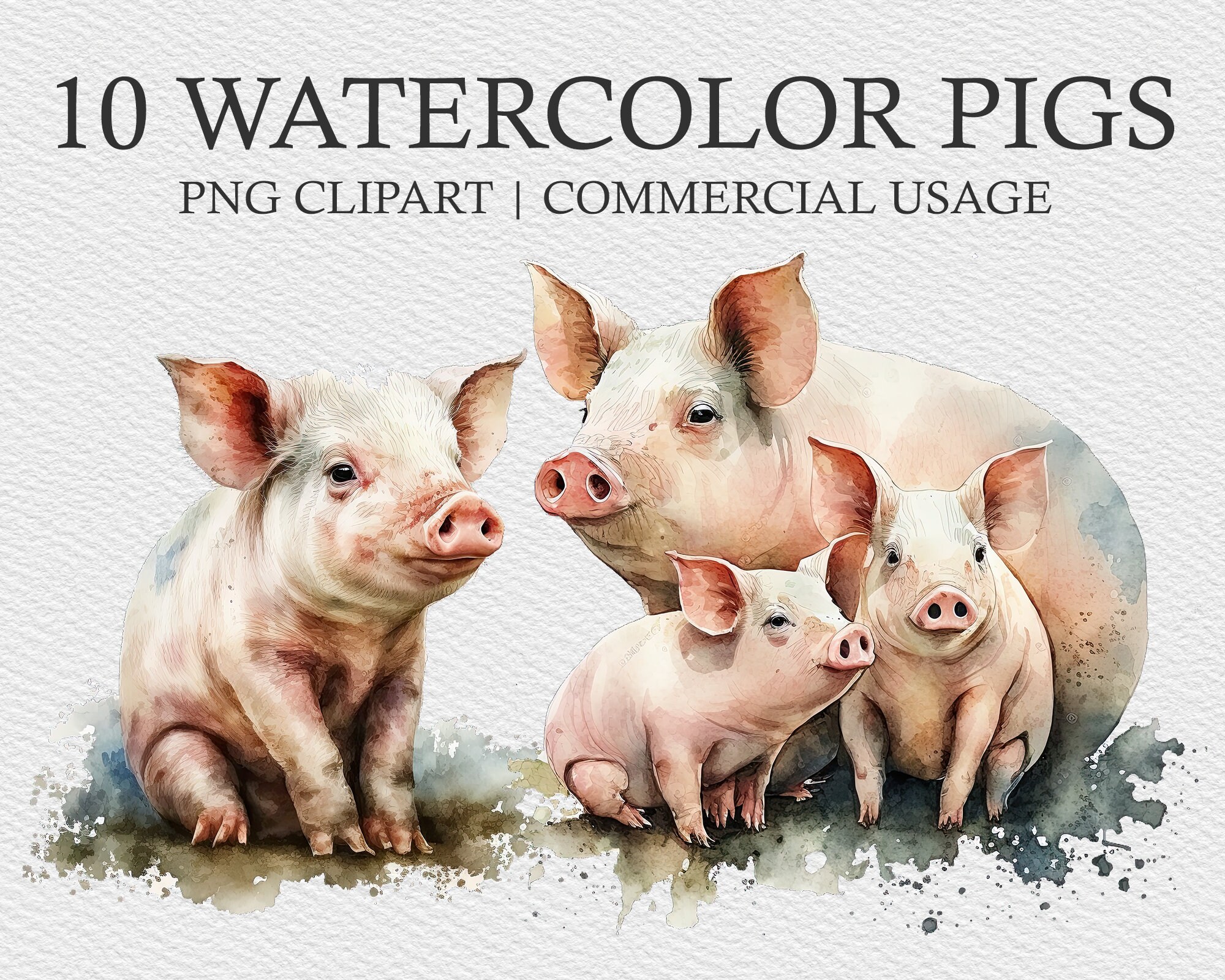 10 Pig Watercolor Clipart Files, Pigs Clipart, Piglets Bundle PNG, Pig