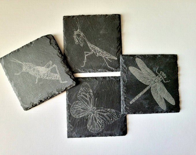 Natural Slate Fossil Style Insect Coasters - Original Art Costers - Engraved Coasters