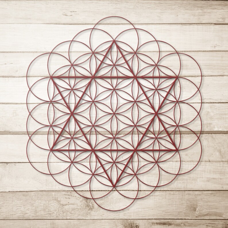 Flower Of Life David's Star Metal Sign Sacred Geometry Wall Art, Yoga Wall Decor, Hinduism Gift, Shri Vidya, Hindu Philosophy, Chakra image 1