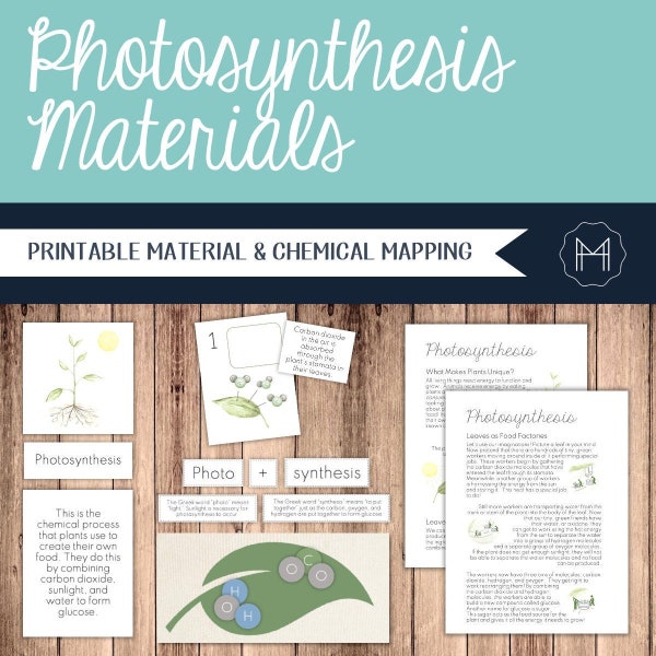 Photosynthesis Materials - Passage, Nomenclature, Sequencing & Chemistry
