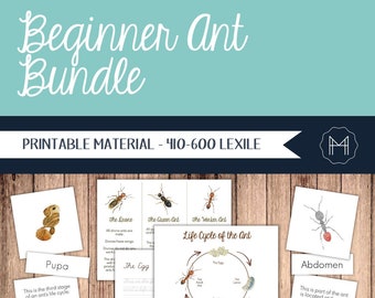 Beginner Ant Unit- Life Cycle, Types, and Parts of the Ant