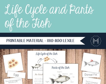 Life Cycle and Parts of the Fish