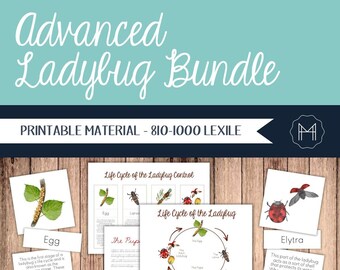 Advanced Study of the Ladybug- Parts of the Ladybug/Life Cycle of the Ladybug