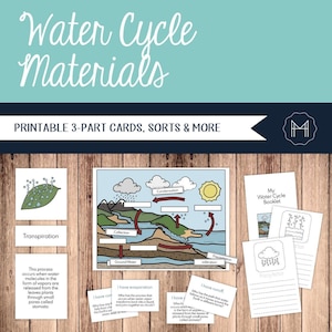 Materiales sobre el ciclo del agua: tarjetas de 3 partes, carteles, clasificaciones y mucho más.