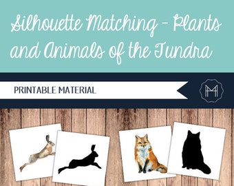 Silhouette Matching- Plants and Animals of the Tundra