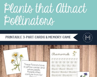 Plants that Attract Pollinators - 3-Part Cards and Memory Game