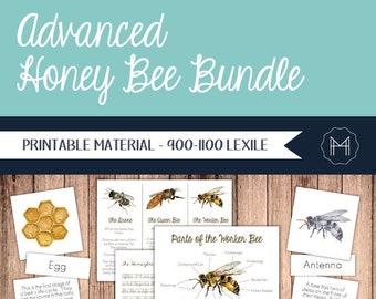 Study of the Honey Bee Unit - 3rd-5th grade