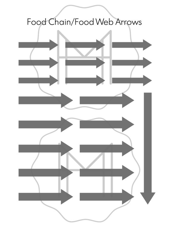 Food Web Arrows