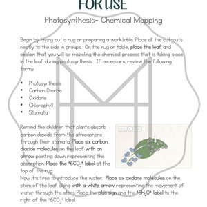 Photosynthesis Materials Passage, Nomenclature, Sequencing & Chemistry image 5