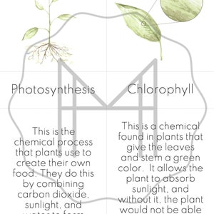 Photosynthesis Materials Passage, Nomenclature, Sequencing & Chemistry image 3