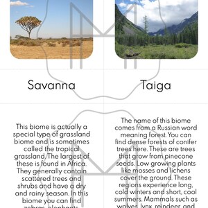 Climate and Biome 3-part Cards, Posters, and Research Guide - Etsy