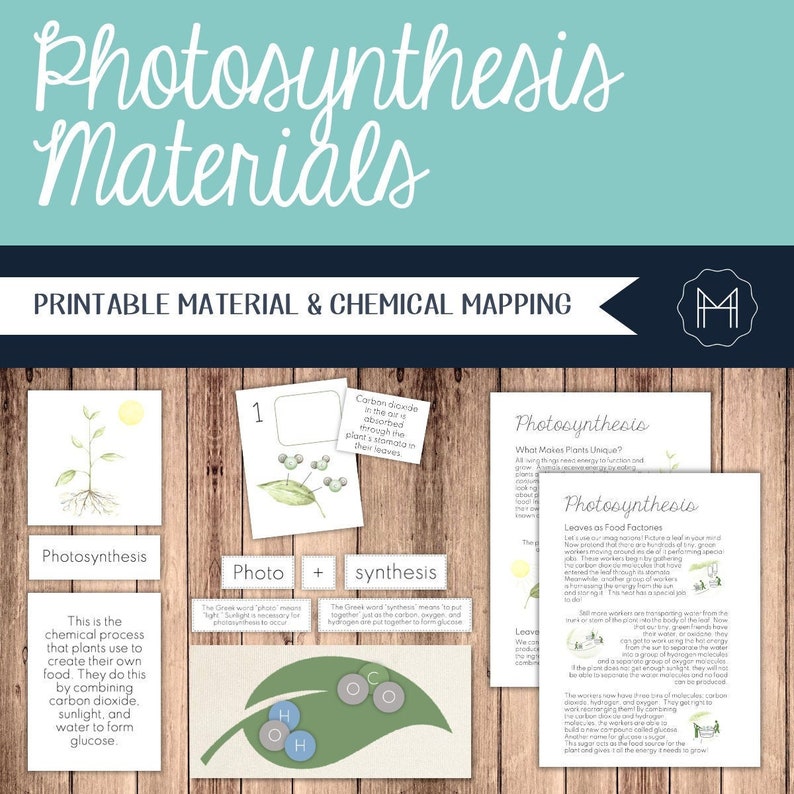 Photosynthesis Materials Passage, Nomenclature, Sequencing & Chemistry image 1