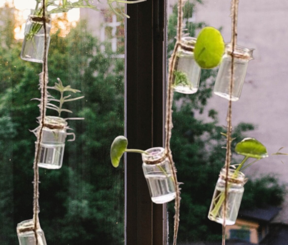 Hanging Propagation Vials/ Plants/weddings/parties, Baby Showers/photo Shoots/christening/glass