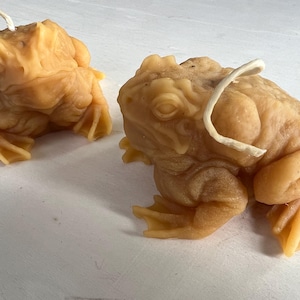 May include: Two detailed, beige, wax frog candles. The candles are sitting on a white surface.
