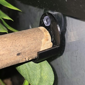 May include: A black plastic perch holder with a clear suction cup, holding a natural wooden perch. The perch is partially visible, showing its textured surface. Green leaves are in the background.