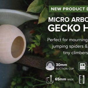May include: A beige, spherical gecko hide with a large opening, attached with a suction cup. The hide is 6.5cm wide and features the text "MICRO ARBOREAL GECKO HIDE". It is designed for small climbing pets.