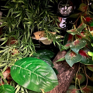 May include: A brown gecko lizard perched on a branch in a lush green and red artificial plant terrarium. A black thermometer with the word "Komodo" printed on it is visible in the background.