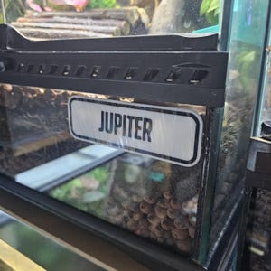 Custom 3D Printed Pet Name Plate – Personalized for Vivariums, Aquariums & Terrariums
