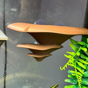 Puede incluir: Una decoración de terrario de color marrón en forma de hongo de 3 niveles con ventosas para sujetar a una superficie de vidrio.