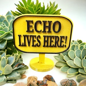 May include: Yellow sign with black text that reads "ECHO LIVES HERE!" The sign is on a yellow stand and surrounded by green succulents.