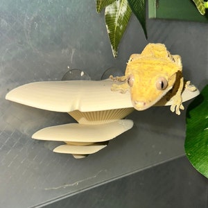 May include: A yellow crested gecko perched on a white mushroom-shaped reptile habitat decoration.