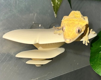 Triple Stack Mushroom ledge for arboreal reptiles, crested gecko / tree frog