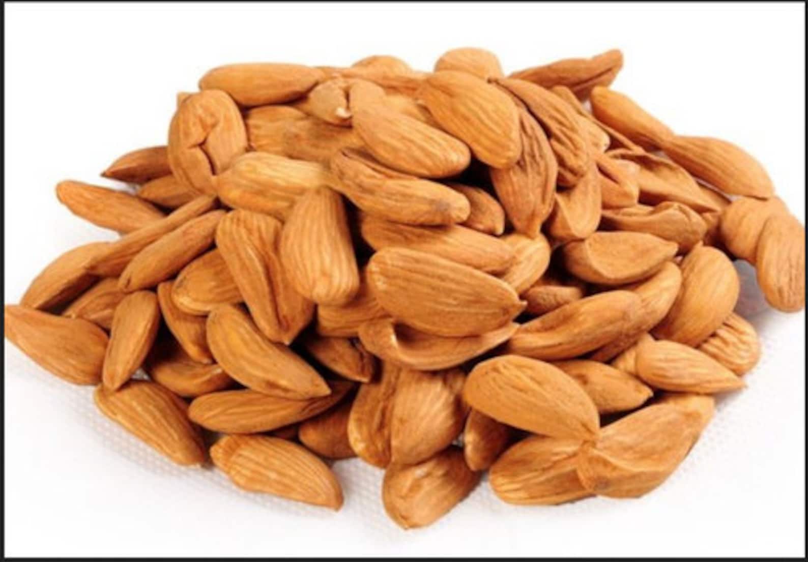 Almonds Mamra Indian Kagaji Mamra Badam Pure Mamra Almonds Etsy
