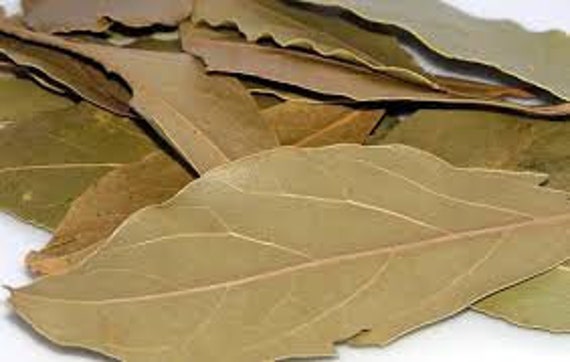 Dried CINNAMON LEAVES / Tej Patta/ Indian Bay Leaf Ceylon Best